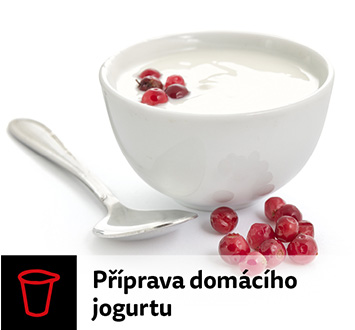 Domácí jogurt
